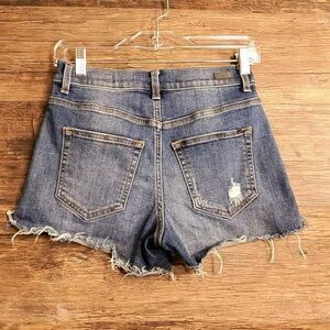 SP Black Label Trendy Distressed Denim Shorts
